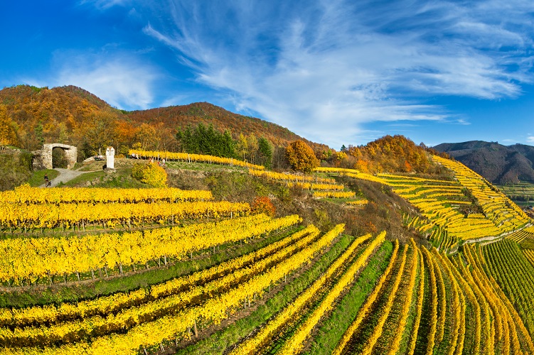 Wachau valley Spitz