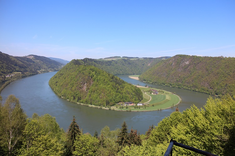 Donauschlinge, Danube bend