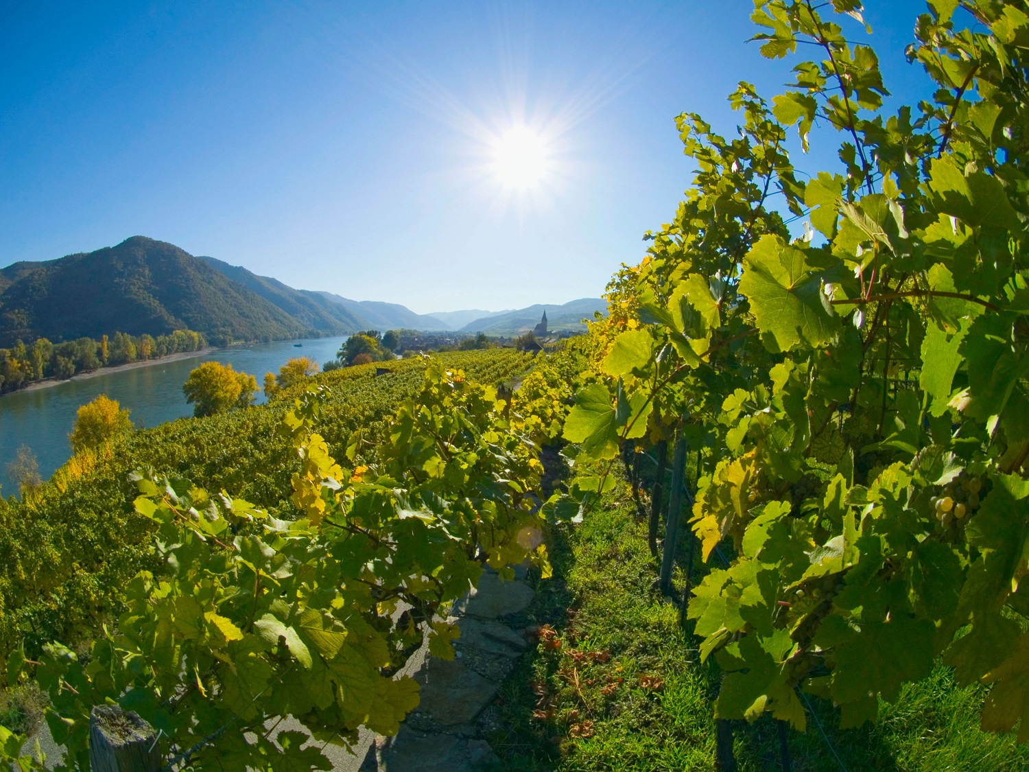 Wachau valley