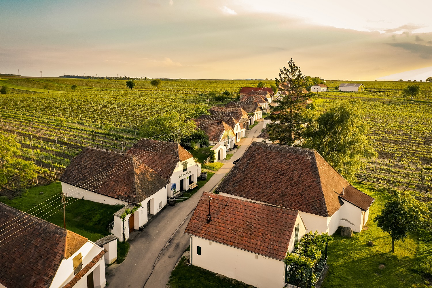 Weinviertel Sternfahrt/home based tour