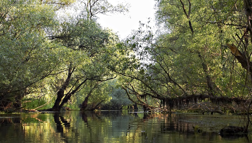 Donaudelta Kanal, Danube Delta