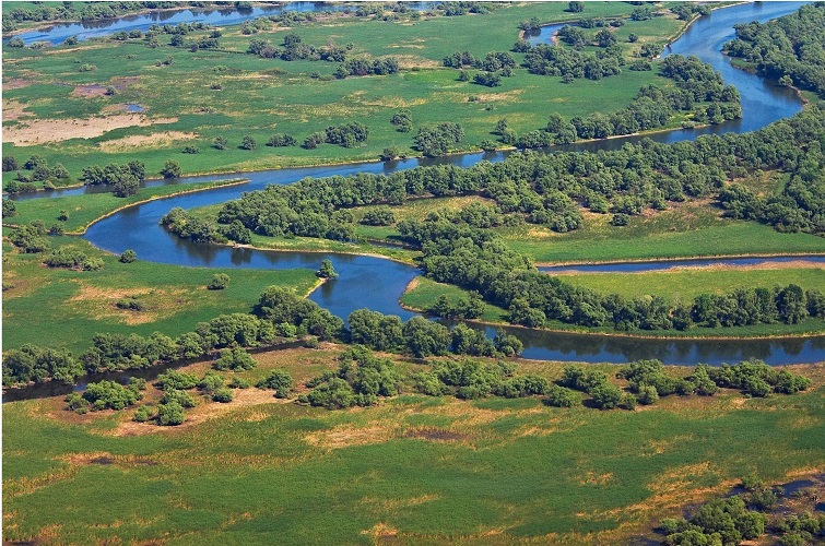 Donaudelta-Danube DElta