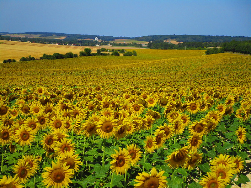 Burgund, burgundy, nord, norden, north, auxerre, moret sur loing