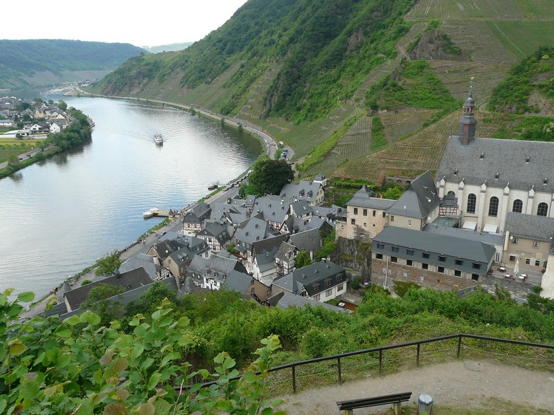 Schiff, ship, Flora, mosel, moselle, Koblenz, coblenz, Merzig