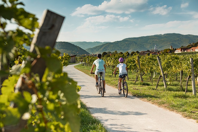 Donau, donauradweg, radweg, danube, danube cycle path, cycle path, bike, biking, cycle, path