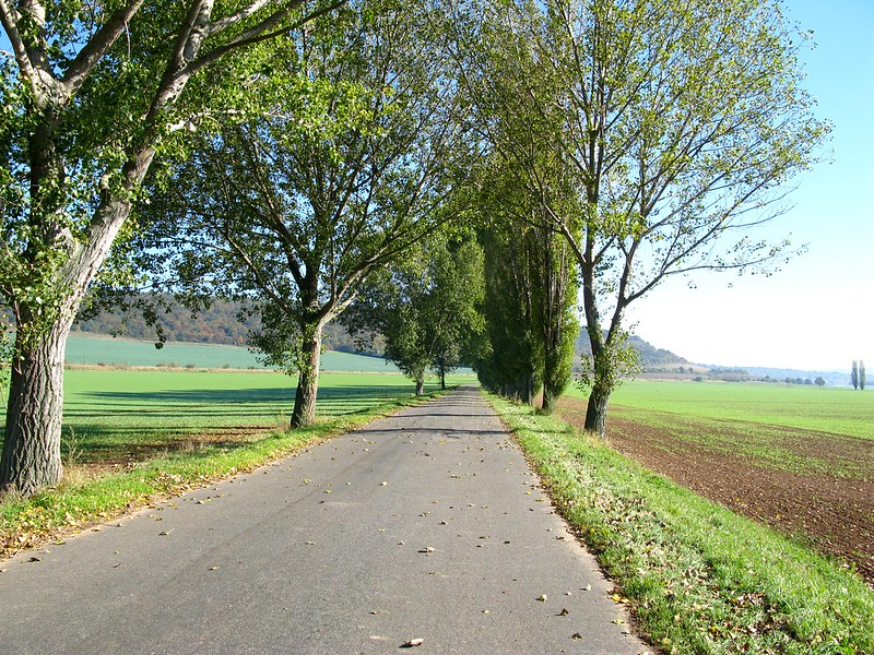 deutschland, germany, weimar, naumburg, thueringen, ilmtal, radweg, saalradweg, cycle path, ilm