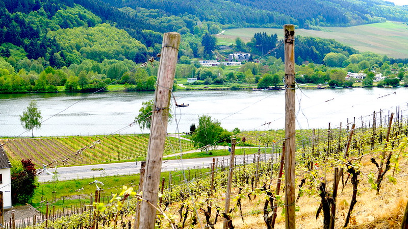 Mosel, moselle, saar, koblenz, saarburg, olympia, boat, schiff, deutschland, germany