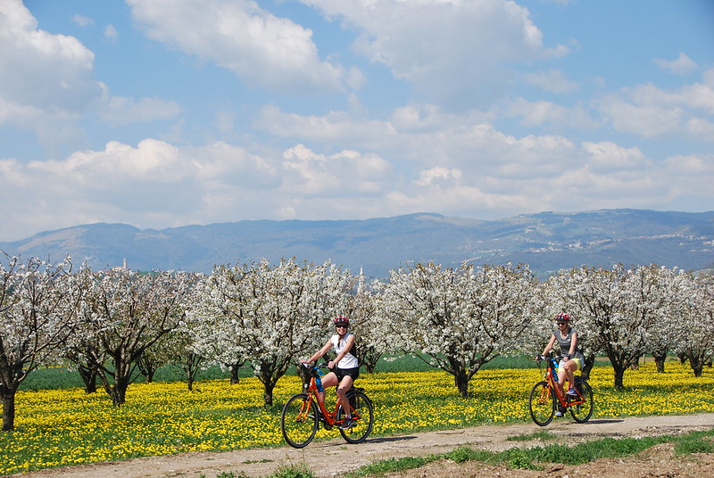 Italien, italy, veneetien, venetia, venedig, venice, vicenza