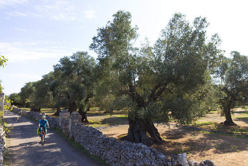 italien, italy, apulien, apulia, lecce, bari