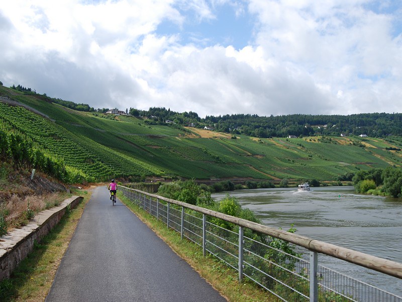 Schiff, ship, Flora, mosel, moselle, Koblenz, coblenz, Merzig