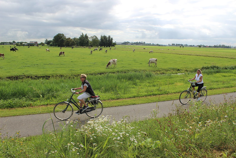 holland, netherland, suedholland, Amsterdam