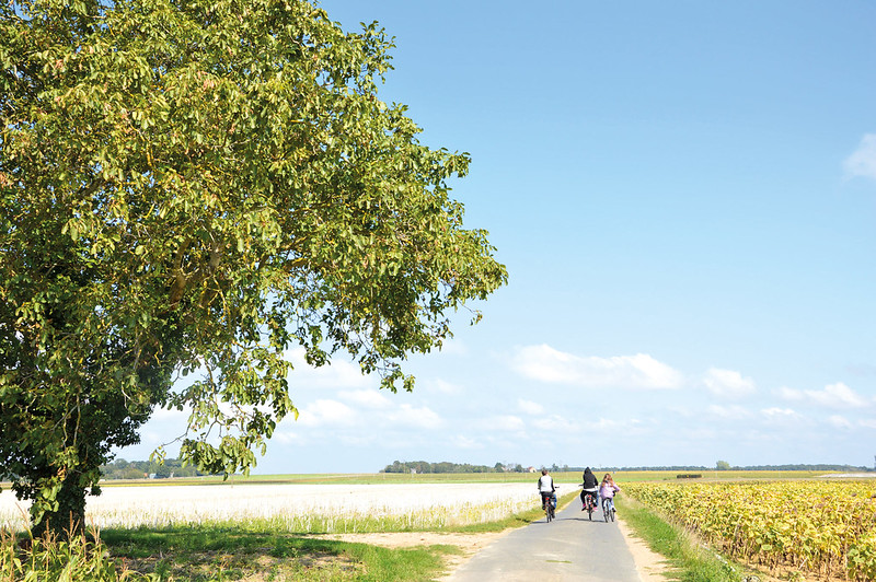 Frankreich, france, schloesser, loire, loire valley