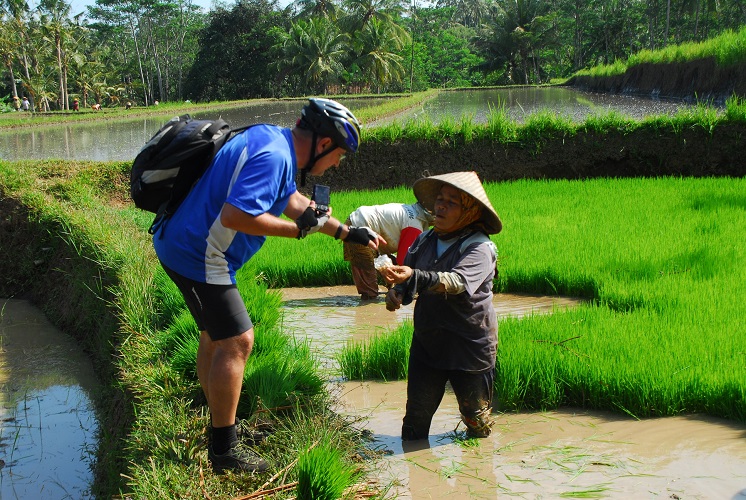 Indonesien, Bali, Ubud, Denpasar, indonesia