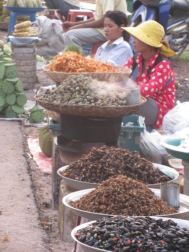 Vietnam, siem reap, angkor vat