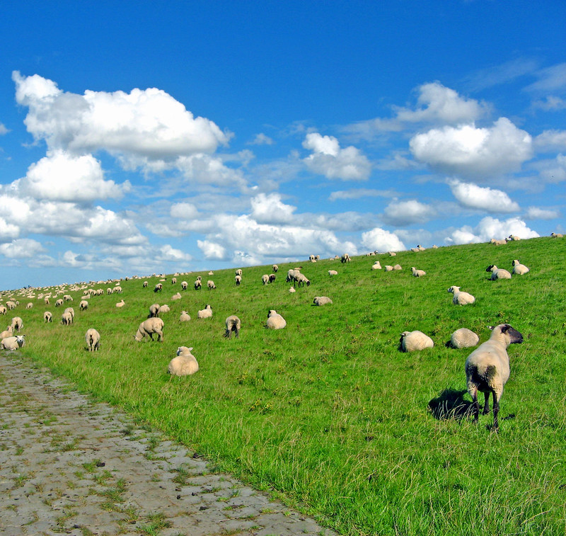 Deutschland, germany, ostfriesland, borkum, norderney, east, frisian, emden