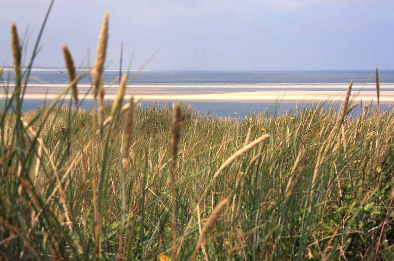 Deutschland, germany, ostfriesland, borkum, norderney, east, frisian, emden