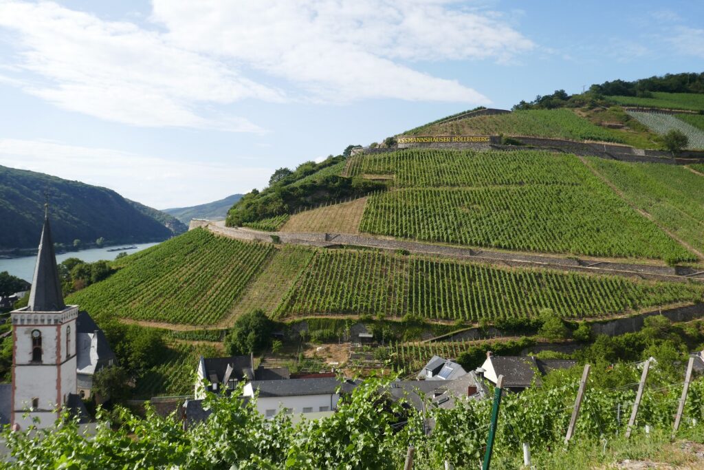 deutschland, germany, rhein, rhine. rheinradweg, rhine cycle path, ruedesheim,