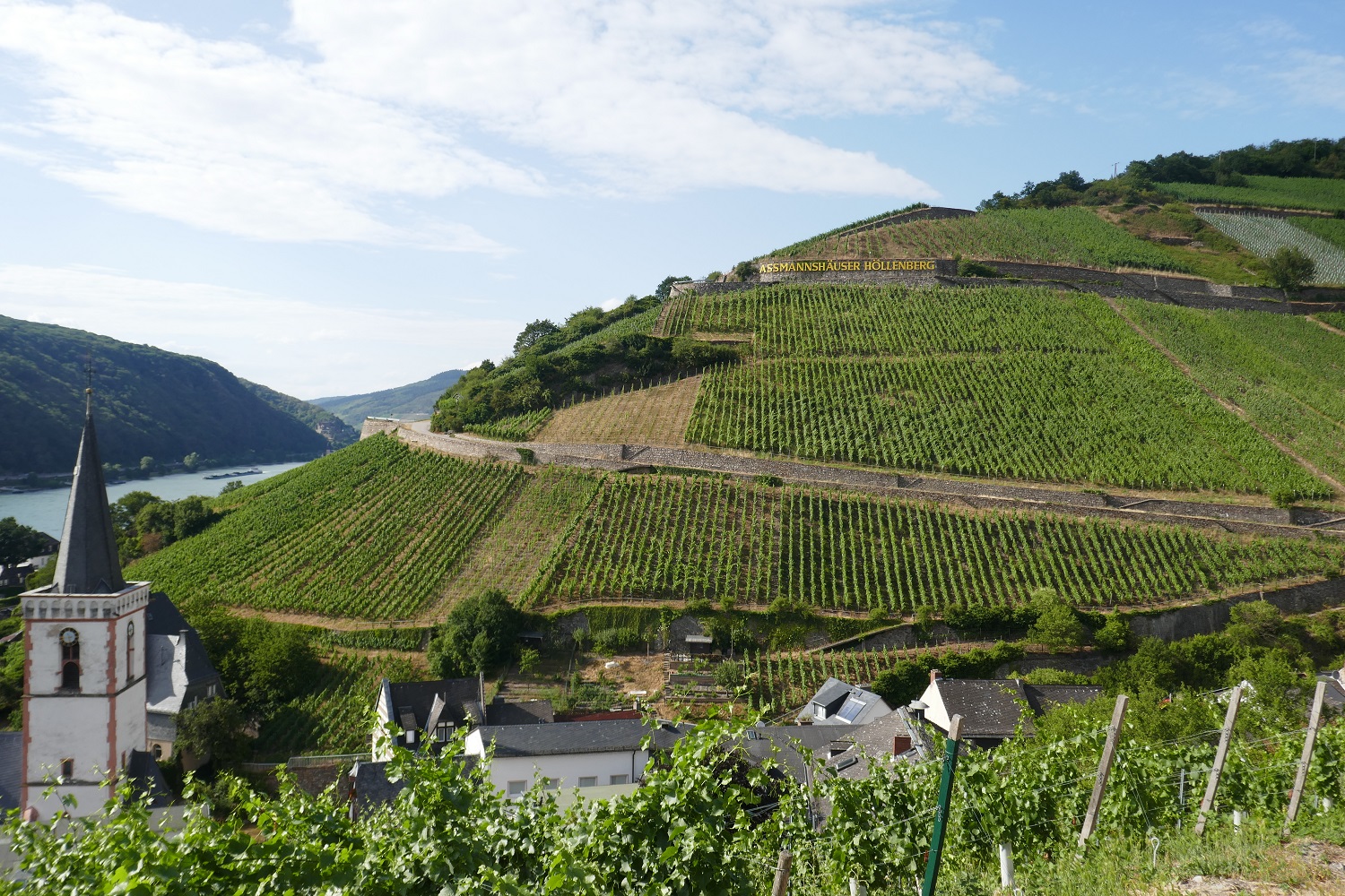 deutschland, germany, rhein, rhine. rheinradweg, rhine cycle path, ruedesheim,