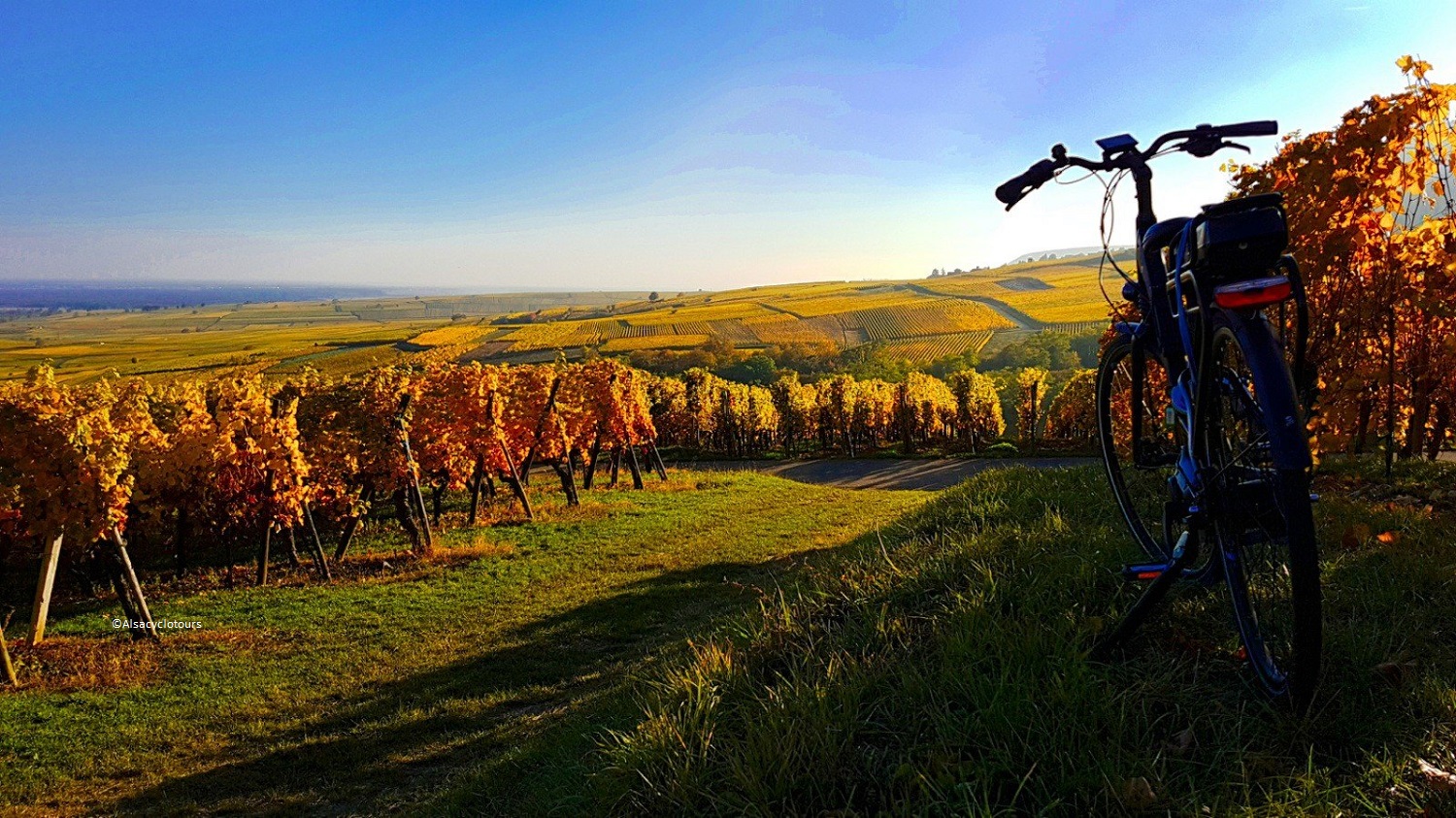 frankreich, france, colmar, elsass, alsace, freiburg