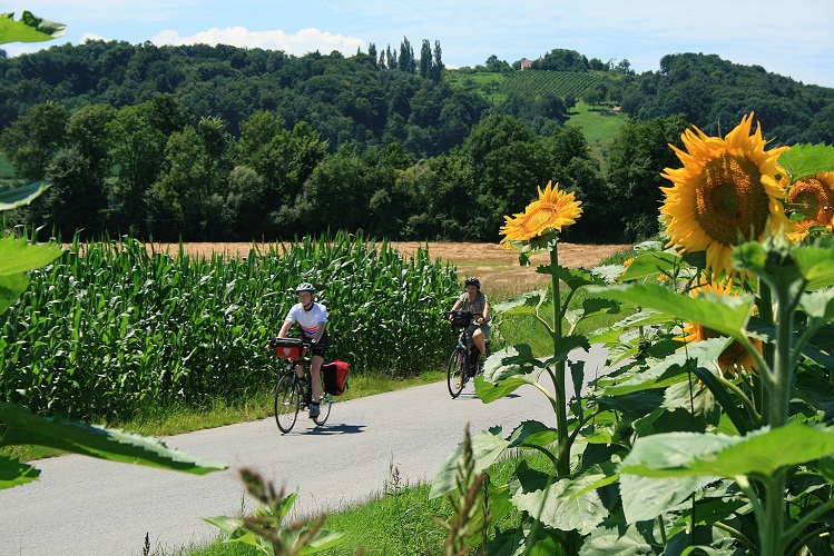 oesterreich, austria, steiermark, sued, sueden, south, styria, Bad Radkersburg