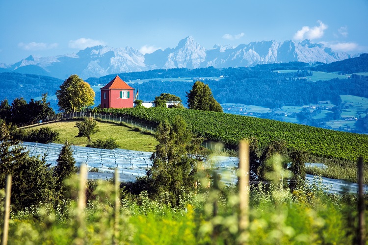 oesterreich, austria, deutschland, germany, schweiz, swiss, bodensee, lake constance, konstanz, sport