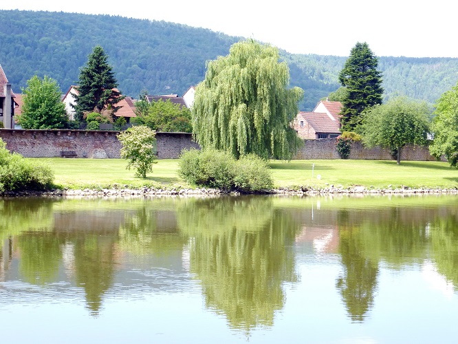 deutschland, germany, winzer, wein, winzertour, winzerhof, vine, winery, Aschaffenburg, main, mainradweg, main cycle path