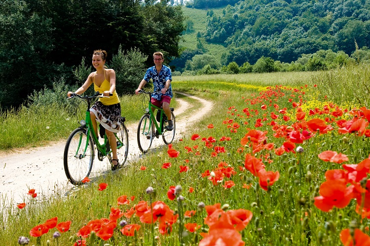 deutschland, germany, winzer, wein, winzertour, winzerhof, vine, winery, Aschaffenburg, main, mainradweg, main cycle path