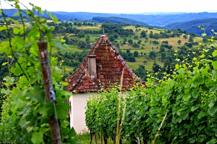 frankreich, france, colmar, elsass, alsace, freiburg