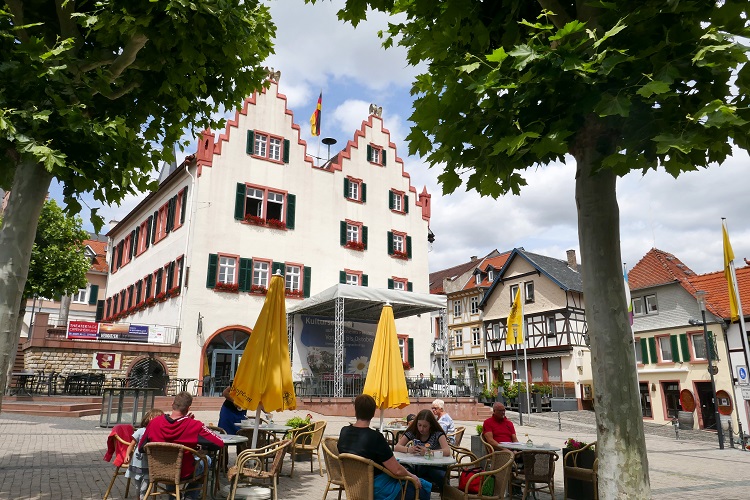 deutschland, germany, rhein, rhine. rheinradweg, rhine cycle path, ruedesheim,