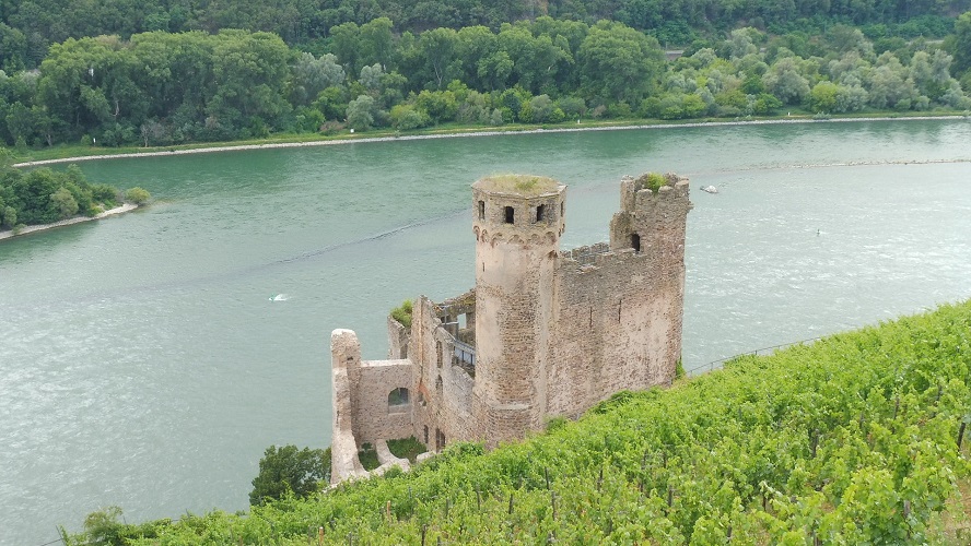 deutschland, germany, rhein, rhine. rheinradweg, rhine cycle path, ruedesheim,