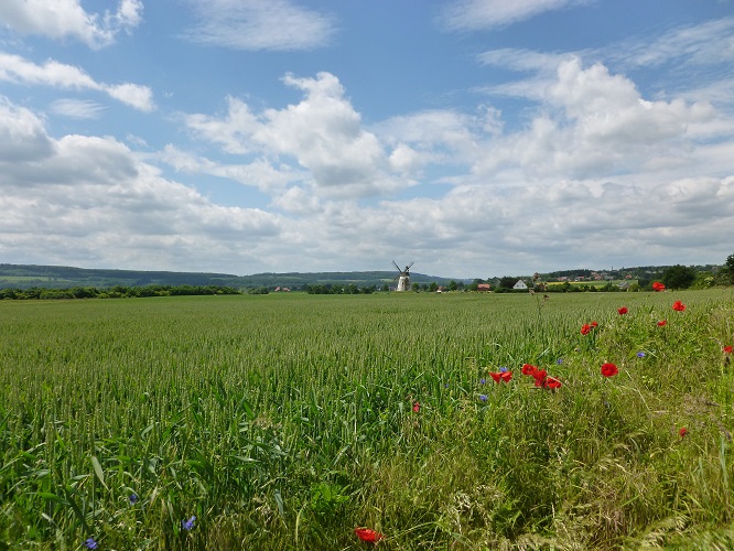 deutschland, germany, weser, weserradweg, weser cycle path, hann muenden, bremen