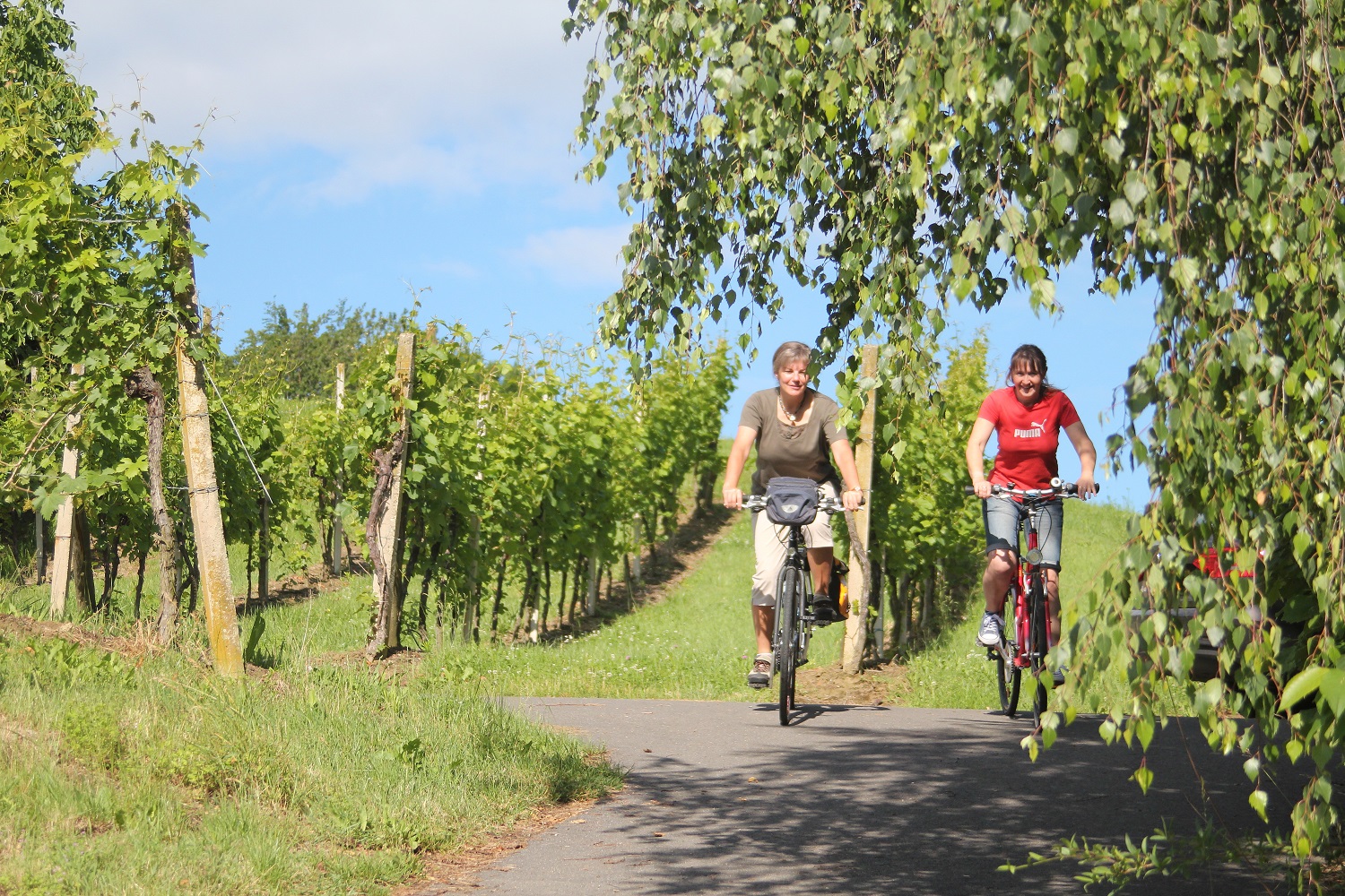 oesterreich, steiermark, winzer, weinstrasse