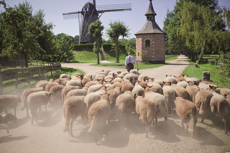 belgien, belgium, niederlande, holland, netherlands, deutschland, germany, masstricht, rad und schiff, bike and boat, limburg, willemsroute, flandern, flanders