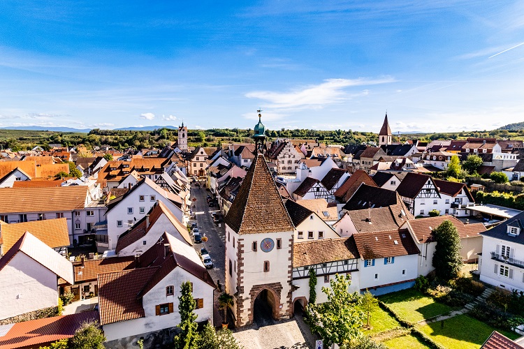 elsass, alsace, frankreich, france, deutschland, germany, romantisch, weinstrasse, romantic, vine