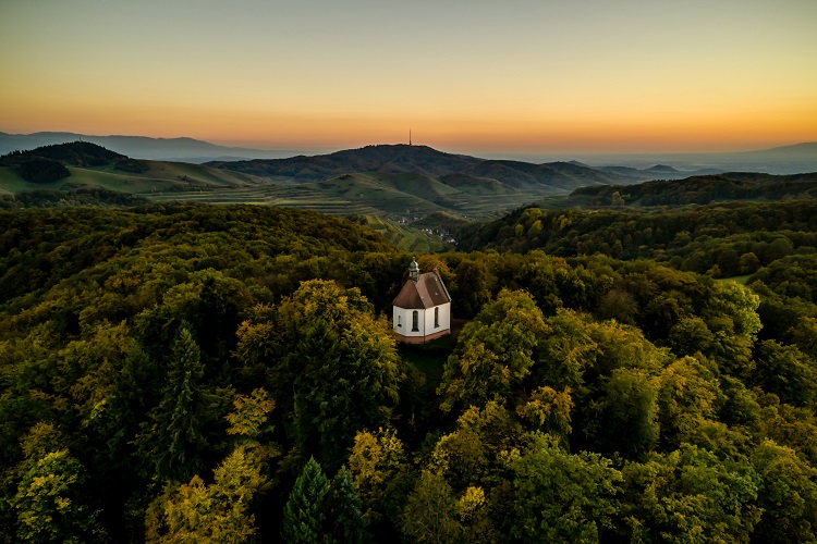 elsass, alsace, frankreich, france, deutschland, germany, romantisch, weinstrasse, romantic, vine