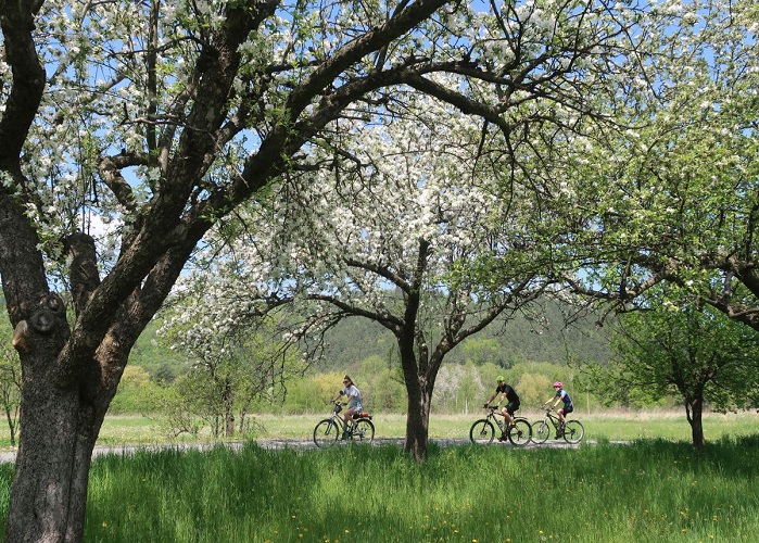 Polen, poland, dunajec, dunajecradweg, dunajec cycle path, krakau, krakow