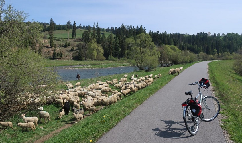 Polen, poland, dunajec, dunajecradweg, dunajec cycle path, krakau, krakow