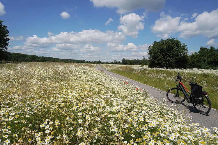 deutschland, germany, muenster, sternfahrt, home-based