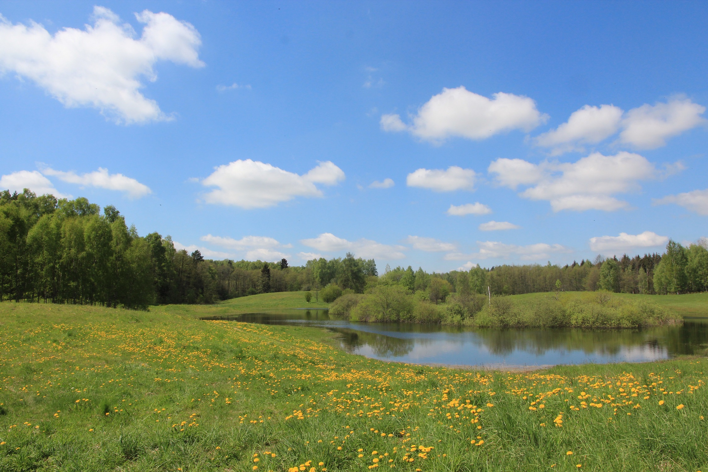 polen, poland, masuren, marusia, masurische seen, masurian lakes, nikolaiken, sensburg, wolfschanze