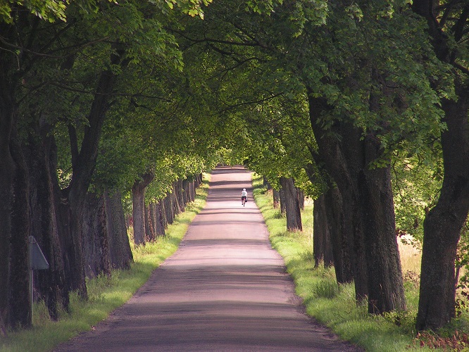 polen, poland, masuren, marusia, masurische seen, masurian lakes, nikolaiken, sensburg, wolfschanze