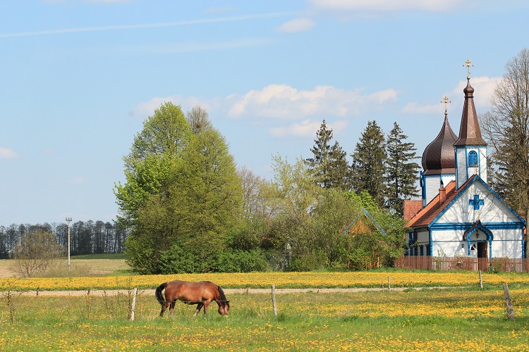 polen, poland, masuren, marusia, masurische seen, masurian lakes, nikolaiken, sensburg, wolfschanze