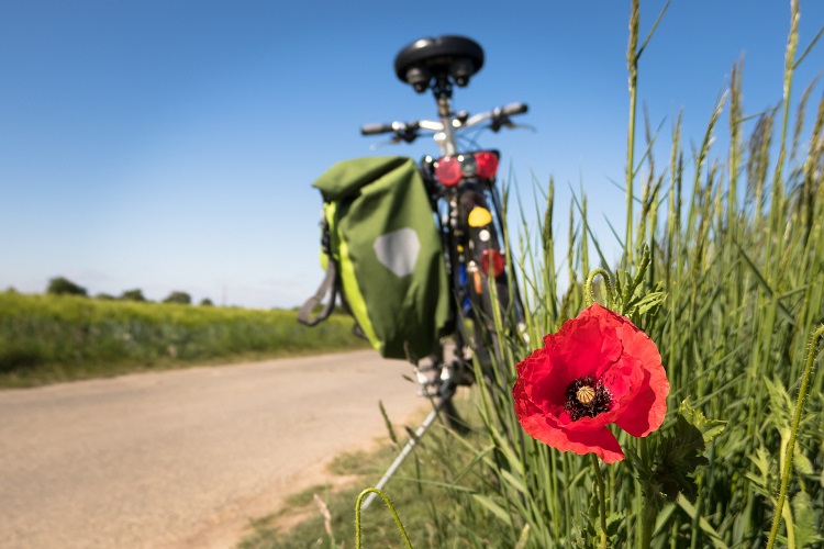 spanien, spain, jakobsweg, camino de santiago, santiago de compostela, way of st james