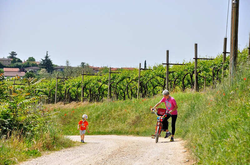 italien, italy, gardasee, lake garda, sternfahrt, home-based, homebased