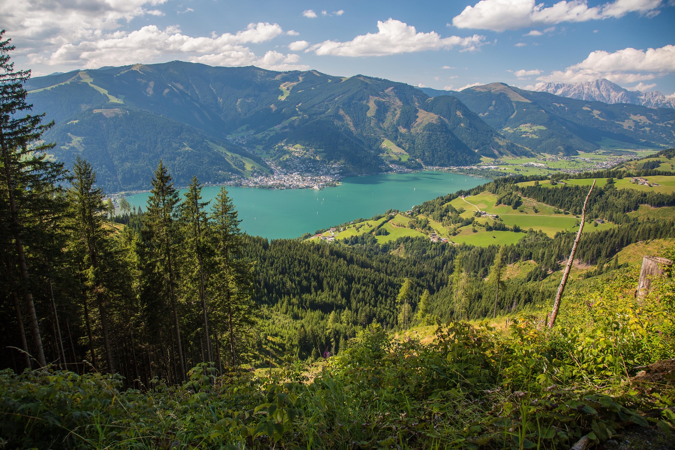 österreich, austria, zell am see