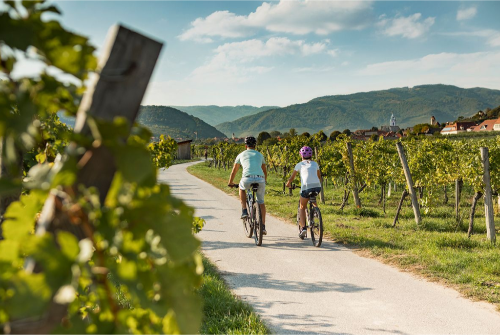 wachau, wachau valley, niederoesterreich, lower austria, duernstein, melk, krems, winzer, wein, wine, vine, sternfahrt, home-based